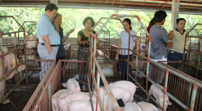 Life Cycle Assessment of Swine Production towards Sustainable Swine Industry